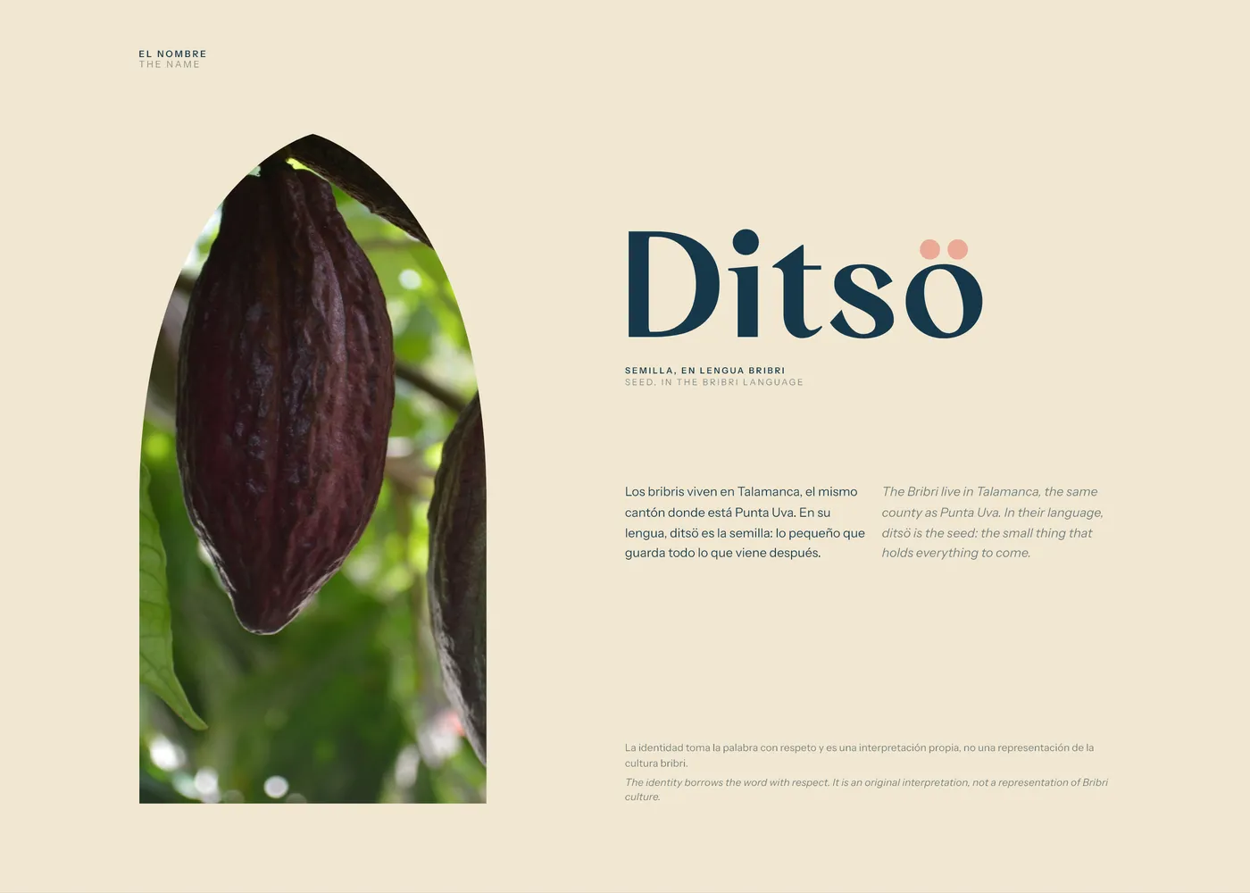 Ditsö Lodge · lámina 3 del caso