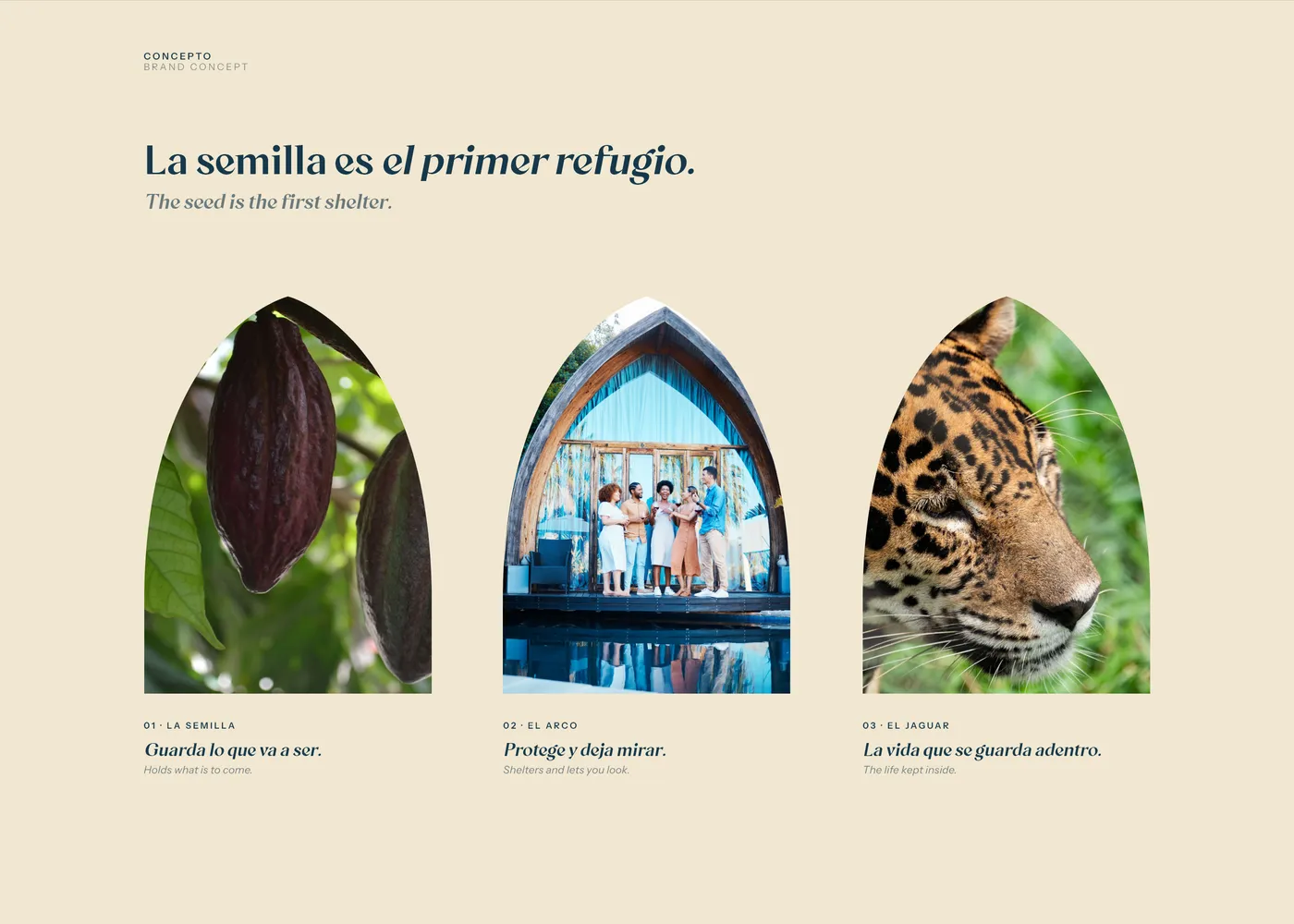 Ditsö Lodge · lámina 5 del caso