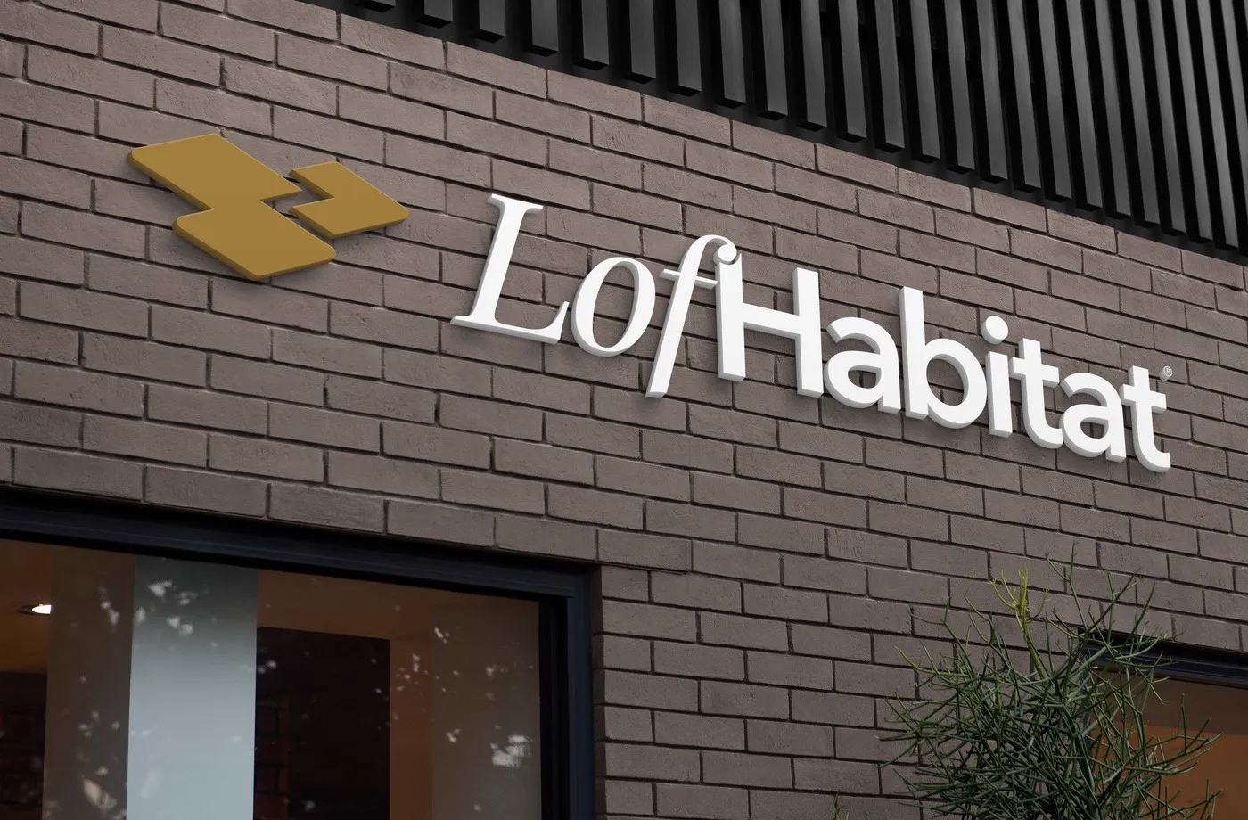 Lof Habitat · lámina 21 del caso